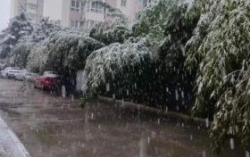 明顯降溫！陜西新一波雨雪即將到來(lái)縮略圖