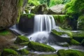 尋夢(mèng)油菜花海，探秘漢江之源：三天兩晚奇遇之旅縮略圖