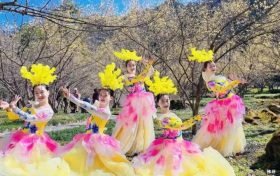 3月22日，王家灣村，茱萸花海踏春游活動來啦！縮略圖