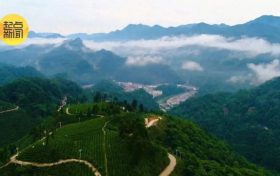 陜西漢中至四川廣元高速擴容項目建設(shè)迎來新進展 通車后將緩解川陜交通壓力縮略圖