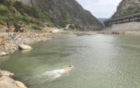 縱身激流顯擔(dān)當(dāng)！略陽(yáng)公安民警以身為舟托起生命希望縮略圖