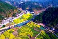 鎮(zhèn)巴簡池鎮(zhèn)李塘村：春日河畔花海，宛如水墨仙境縮略圖