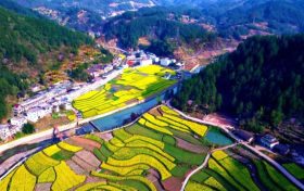 鎮(zhèn)巴簡池鎮(zhèn)李塘村：春日河畔花海，宛如水墨仙境縮略圖