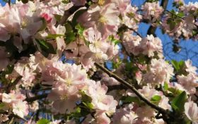 天漢濕地公園：漢中名副其實的“后花園”縮略圖