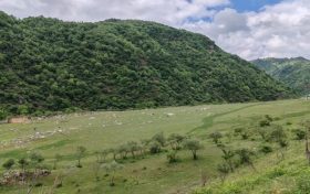 我市開(kāi)通便民就醫(yī)直通車縮略圖