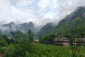 橘子吃多了為什么會(huì)變成“小黃人”？縮略圖