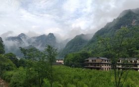 橘子吃多了為什么會變成“小黃人”？縮略圖