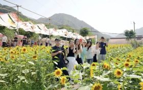 “鄉(xiāng)”聚力量·“創(chuàng)”新未來丨來留壩，給旅行加點(diǎn)“文化”料縮略圖