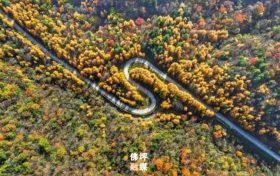 秋滿佛坪，風(fēng)光正好！踏入這抹絢爛秋色里，邂逅只屬于你的心動時刻！縮略圖