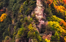 九月九，登九鼎！草川子的秋日盛宴已開席縮略圖