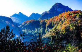 草川子生態(tài)康養(yǎng)旅游度假區(qū)今日恢復(fù)開園，正常接待游客縮略圖