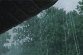 新一輪降雨，上線！縮略圖
