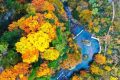 2025漢中黎坪紅葉季10月15日盛大啟幕！18日、19日免門票！縮略圖