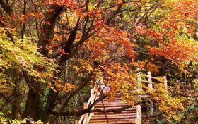 不等了！這個(gè)秋天，我就要去草川子~縮略圖