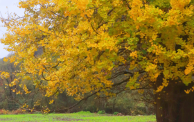秋假學(xué)子免票游草川子，解鎖秋日里的彩林&石林，速速碼??！縮略圖