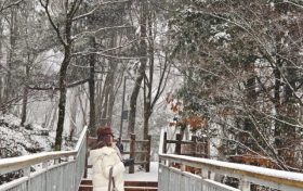 漢中又下雪了，太美了~縮略圖