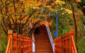 周末天氣如何？陜西最新天氣預報→縮略圖