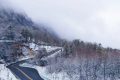 別等了！草川子的大雪已經 “凍” 真格縮略圖