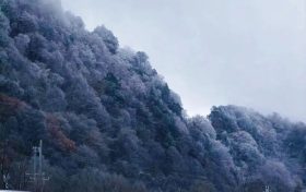 本輪寒潮將持續(xù)多久？何時能夠回暖？縮略圖