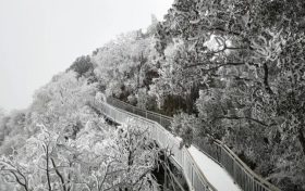 臨時閉園公告縮略圖