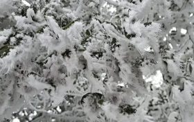 陜西新一輪雨雪降溫要來！晴↗雨雪↘縮略圖