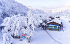 滑雪場+索道恢復運營！快去漢江源賞雪啦縮略圖