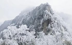 春節(jié)返鄉(xiāng)游，草川子景區(qū)推出自駕游優(yōu)惠啦！縮略圖