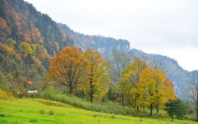 2026最新節(jié)假日安排縮略圖