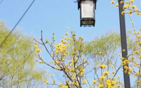 已確認(rèn)！多地公布春假時(shí)間！縮略圖