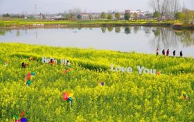 觀花必看！漢中最新天氣預(yù)報(bào)→縮略圖